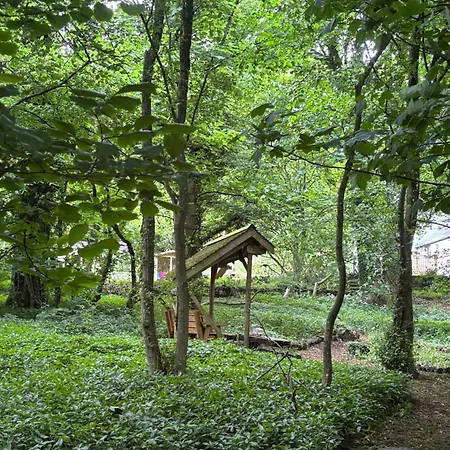 Lodge Heaves Woodlands And Pods *