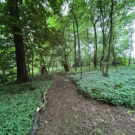 Heaves Woodlands And Pods Lodge Levens